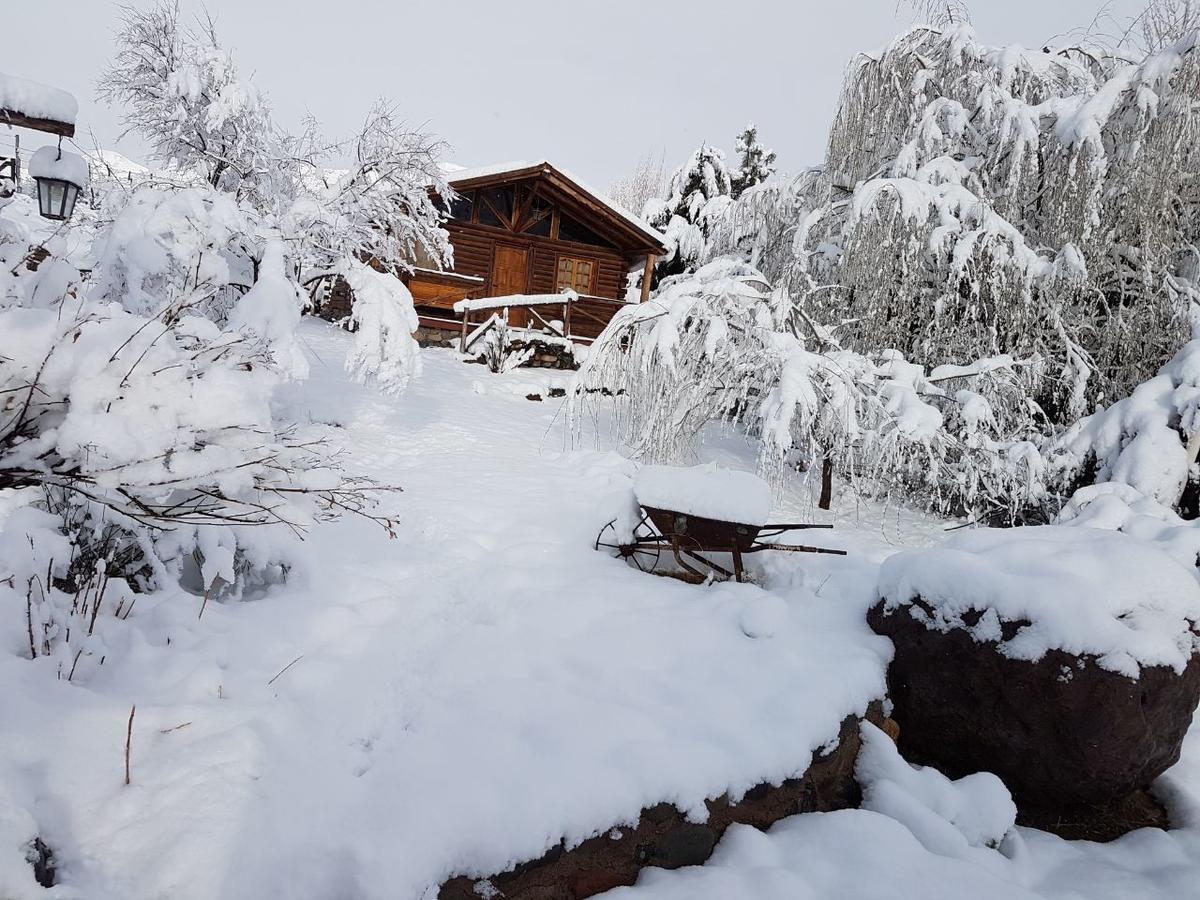 Posta Nehuen Cabanas Potrerillos Exteriör bild